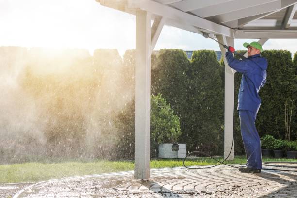 Best Graffiti Removal  in North Chicago, IL